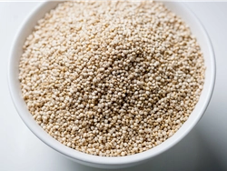 Quinoa