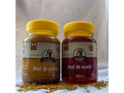 Miel San Gabriel 500GRS