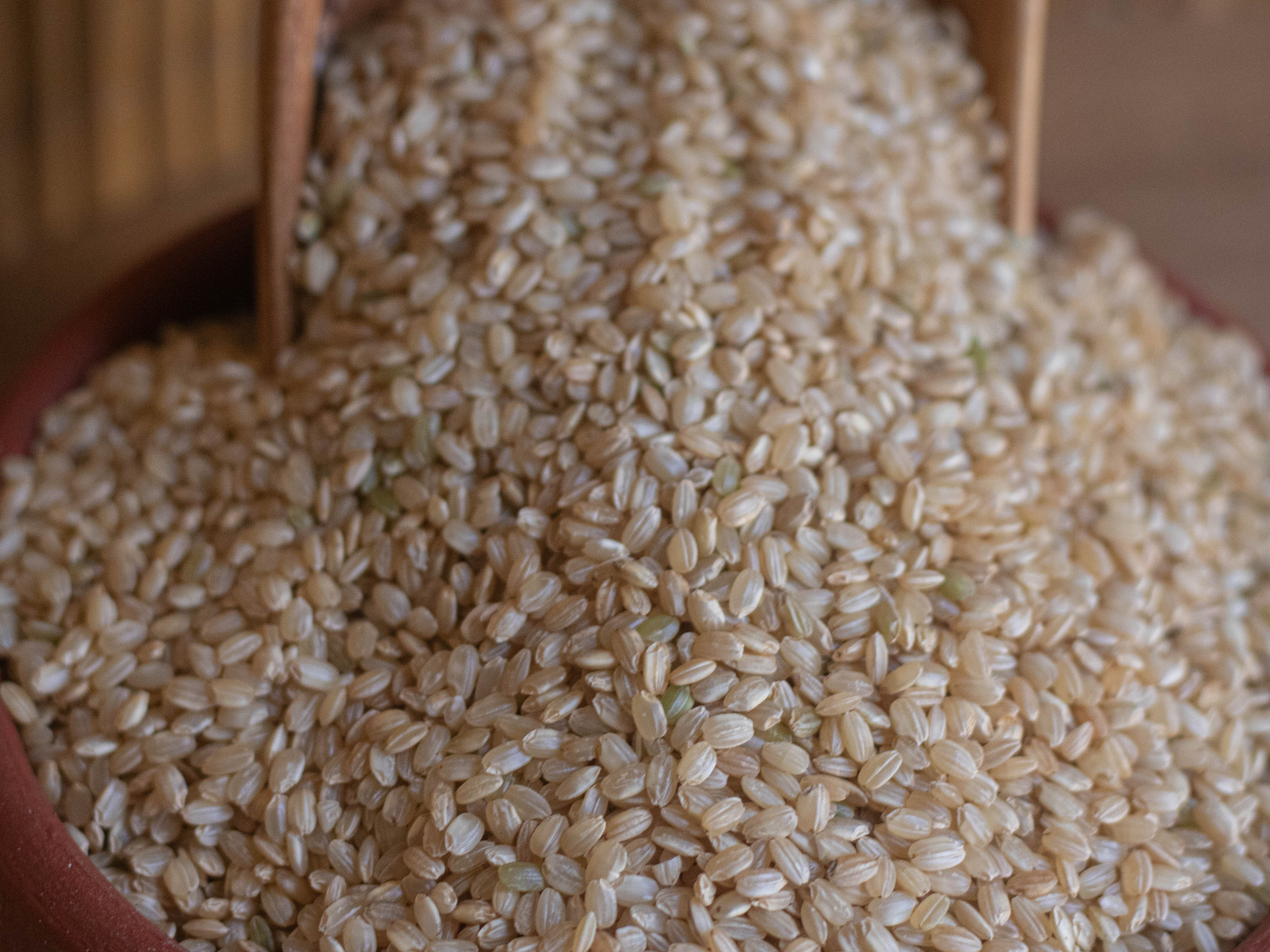 Arroz yamaní