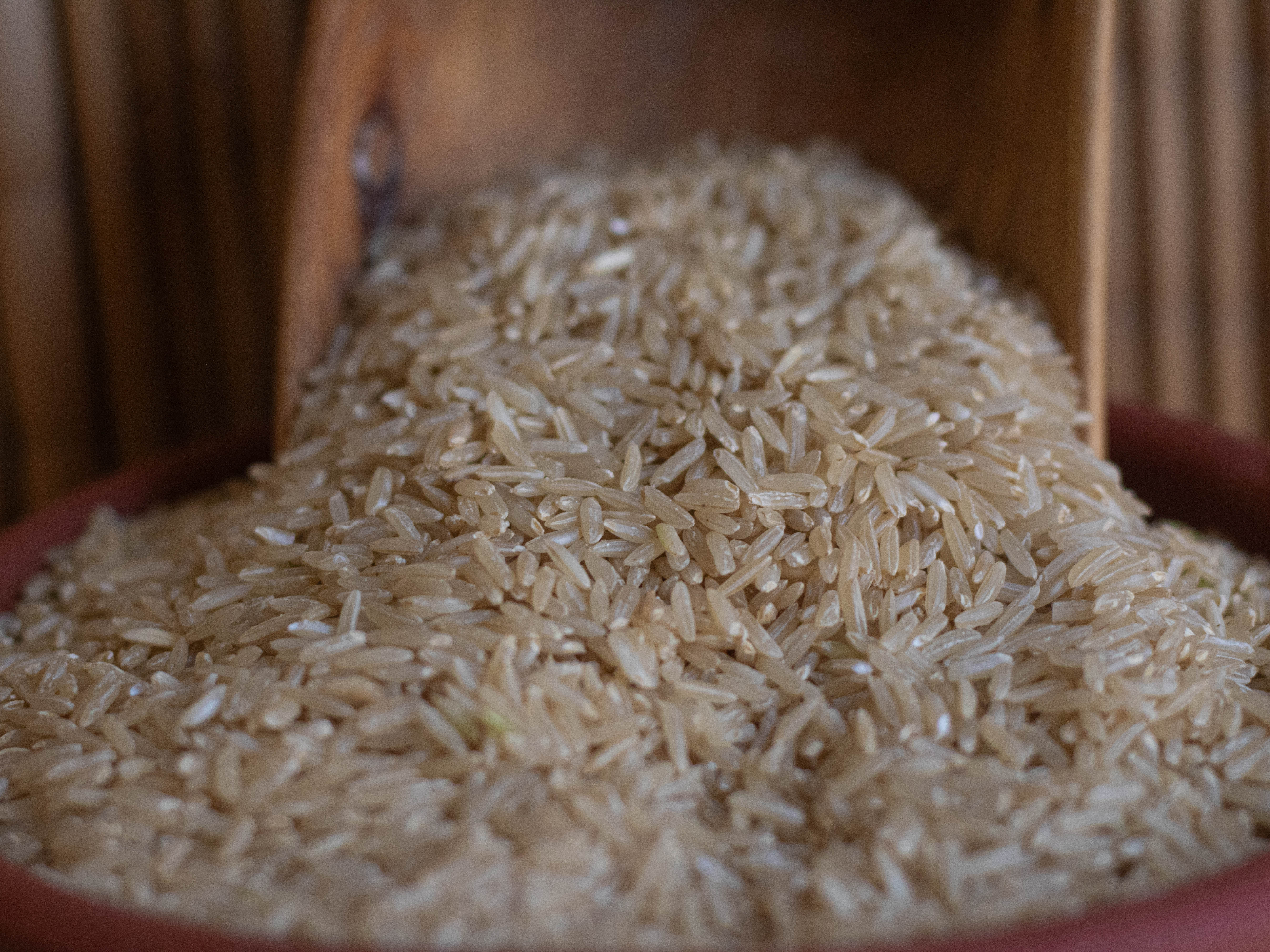 Arroz integral