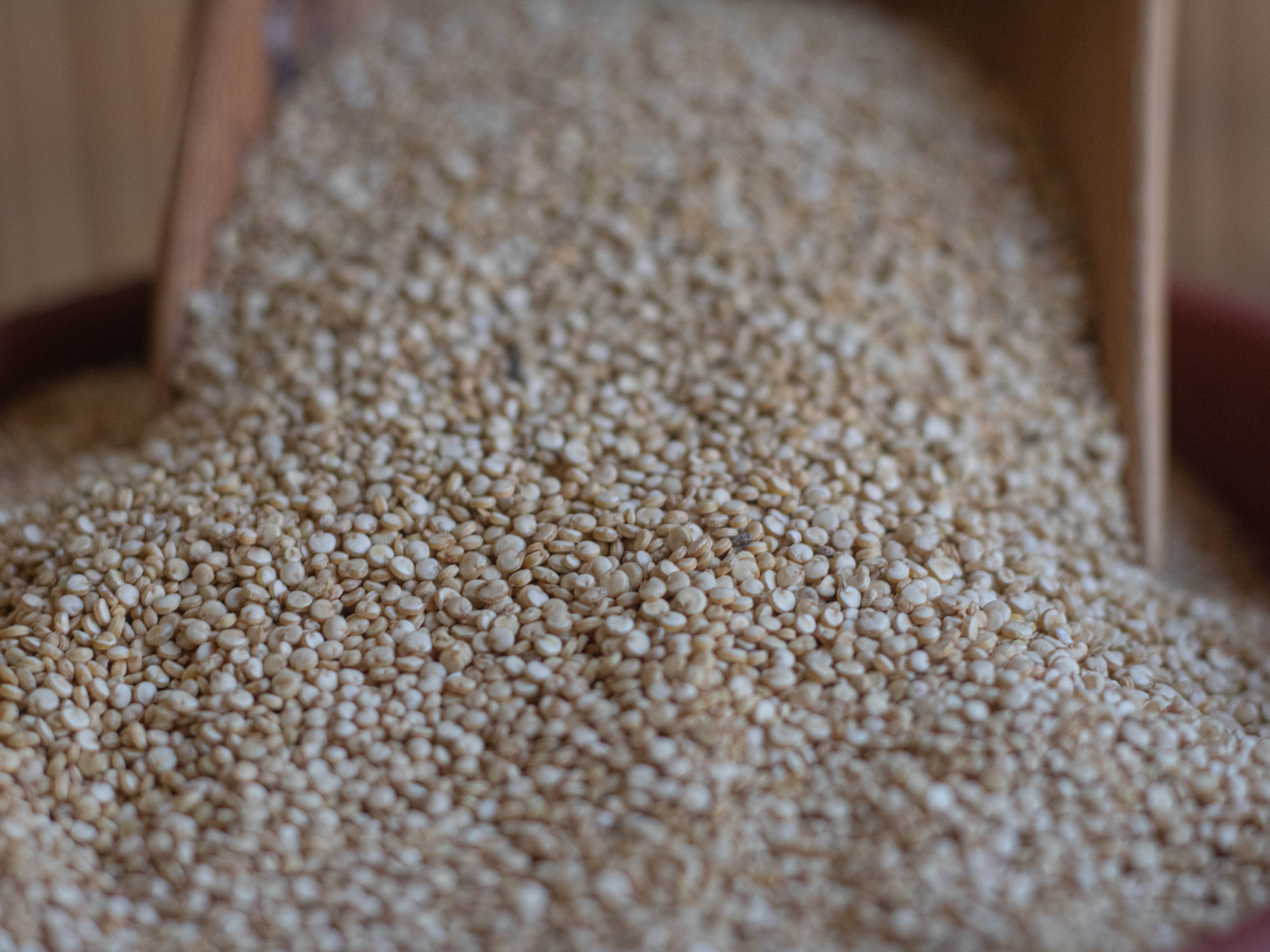 Quinoa